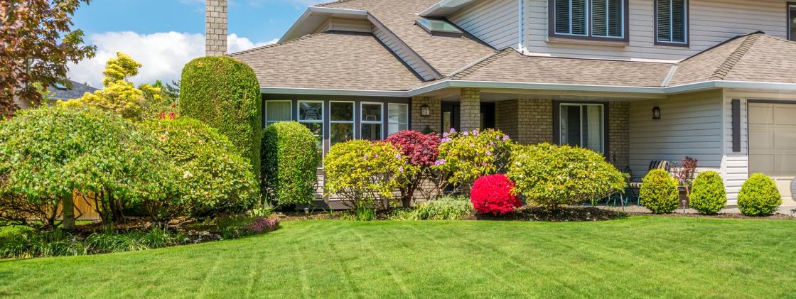 Lawn Care Basics for New and Experienced Home Owners