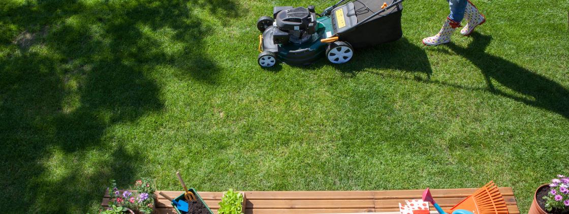 Spring Lawn Prep and Maintenance