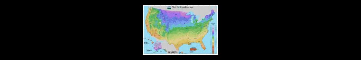 What You Need to Know About Plant Hardiness Zones