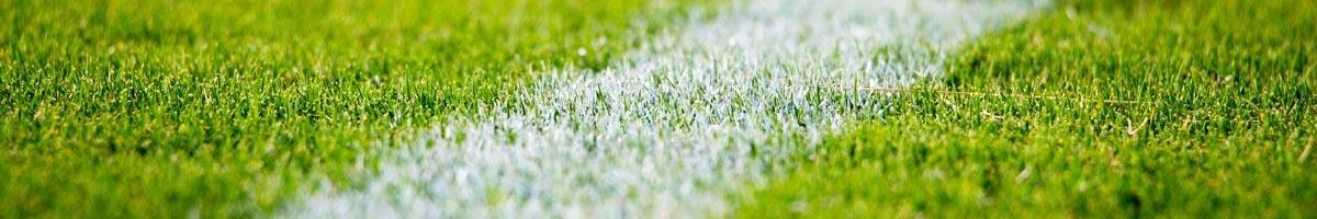 Best Grass Seed Choices for Athletic Fields