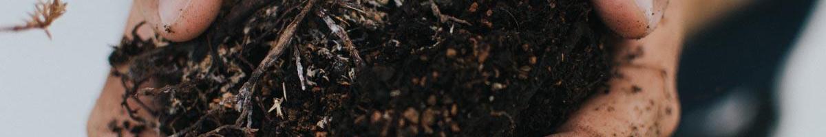 Black Gold: What to Look for When Purchasing Topsoil