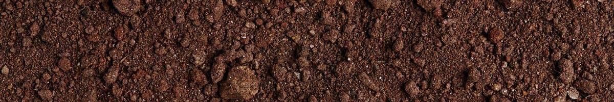 Sand, Silt, or Clay: What Have You Got in Your Soil?