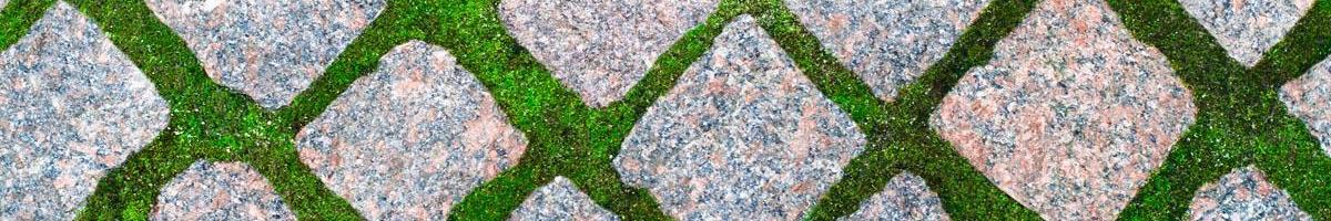 The Growing Popularity of Grass Driveways