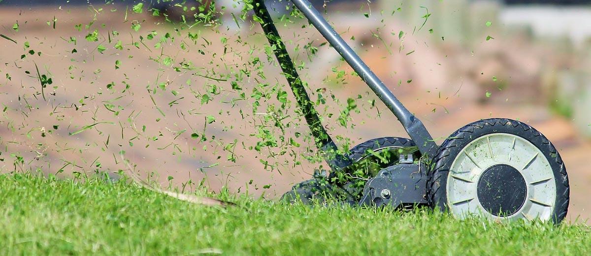 https://www.naturesseed.com/media/mageplaza/blog/post/an-oldie-but-a-goodie-advantages-of-reel-mowers.jpg