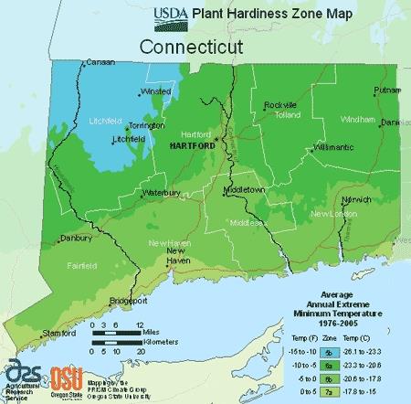Connecticut USDA Plant Hardiness Zone Map