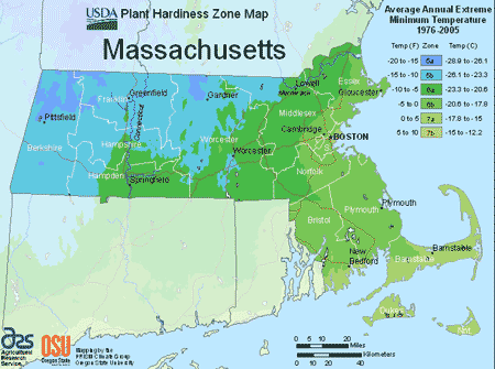 Massachusetts USDA Plant Hardiness Zone Map