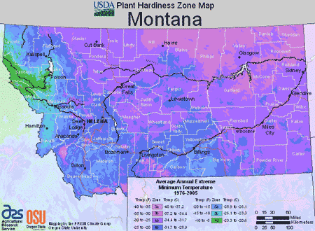 Montana USDA Plant Hardiness Zone Map