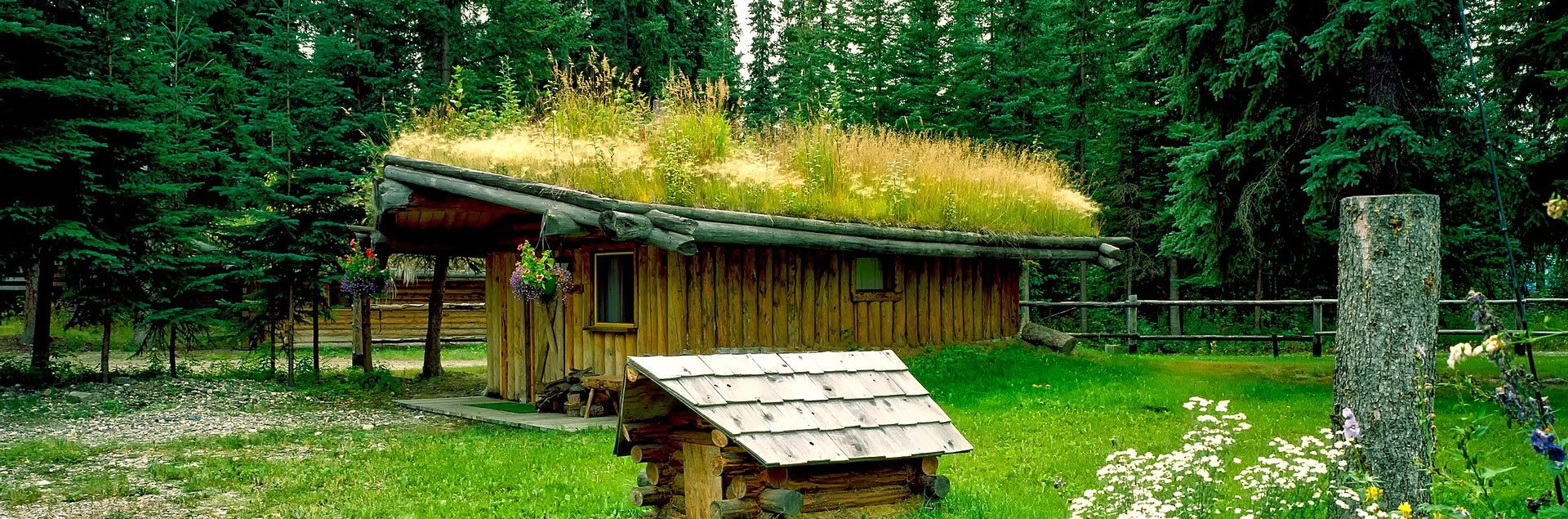 rustic Alaskan cabin